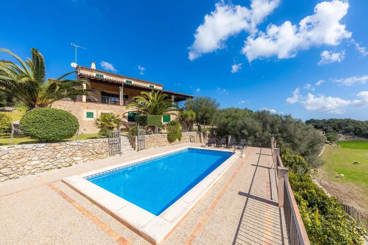 Taconera Villa Arta