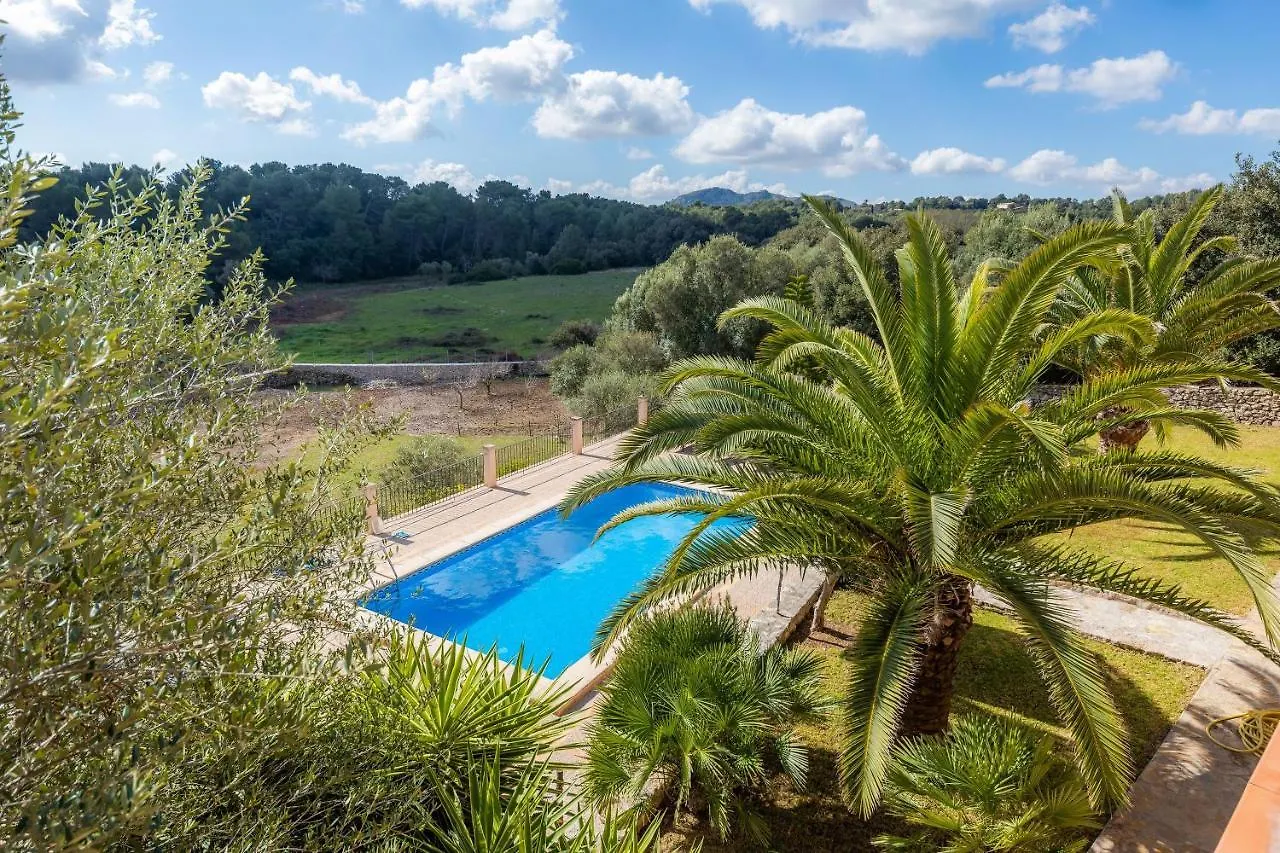 Taconera Villa Arta